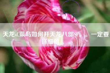 天龙sf,菜鸟如何开天龙八部SF。。一定要详细的 。。