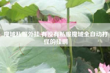 魔域私服外挂,有没有私服魔域全自动打怪的挂啊