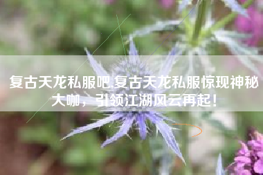 复古天龙私服吧,复古天龙私服惊现神秘大咖,引领江湖风云再起!
