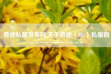 奇迹私服发布网,关于奇迹（MU）私服的~~~~~~~~~~~
