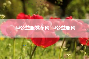 dnf公益服发布网,dnf公益服网