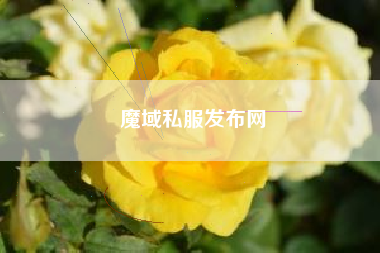 魔域私服发布网