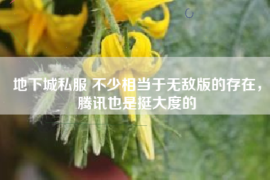 地下城私服 不少相当于无敌版的存在，腾讯也是挺大度的