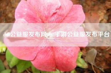 dnf公益服发布网,dnf手游公益服发布平台