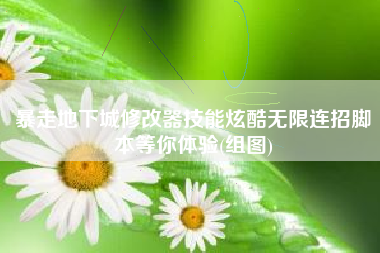 暴走地下城修改器技能炫酷无限连招脚本等你体验(组图)