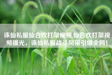 诛仙私服仙合欢打架视频,仙合欢打架视频曝光，诛仙私服战斗风采引爆全网！