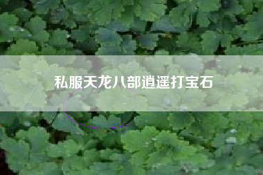 私服天龙八部逍遥打宝石