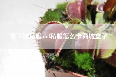 地下城私服,dnf私服怎么卡商城盒子