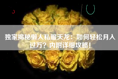 独家揭秘懒人私服天龙：如何轻松月入过万？内附详细攻略！