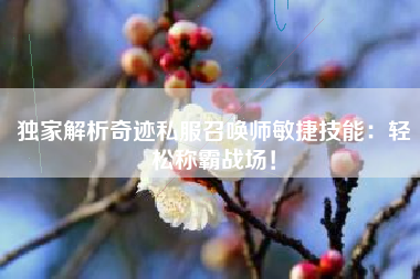 独家解析奇迹私服召唤师敏捷技能：轻松称霸战场！