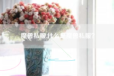 魔兽私服,什么是魔兽私服？