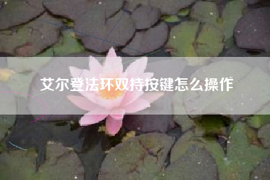 艾尔登法环双持按键怎么操作