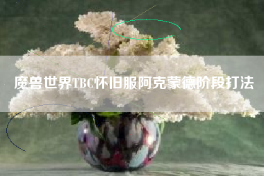 魔兽世界TBC怀旧服阿克蒙德阶段打法