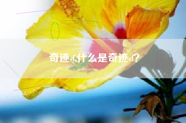 奇迹sf,什么是奇迹sf？