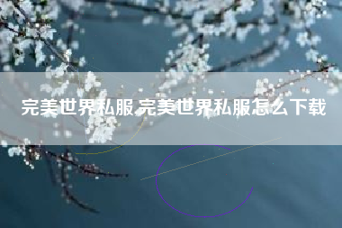 完美世界私服,完美世界私服怎么下载