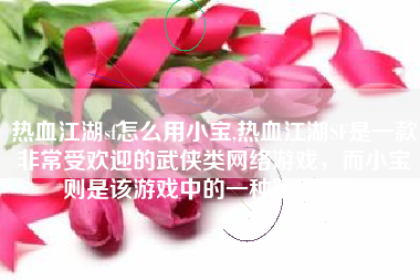 热血江湖sf怎么用小宝,热血江湖SF是一款非常受欢迎的武侠类网络游戏，而小宝则是该游戏中的一种重要资源