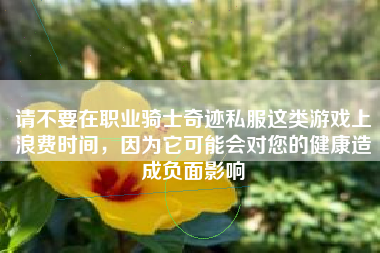 请不要在职业骑士奇迹私服这类游戏上浪费时间，因为它可能会对您的健康造成负面影响