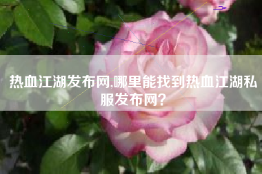 热血江湖发布网,哪里能找到热血江湖私服发布网？