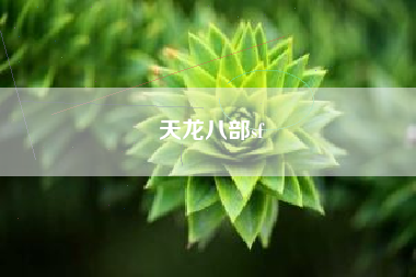 天龙八部sf