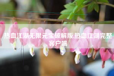 热血江湖无限元宝破解版,热血江湖完整客户端