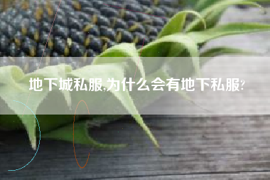 地下城私服,为什么会有地下私服?