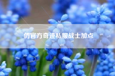 仿官方奇迹私服战士加点