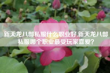 新天龙八部私服什么职业好,新天龙八部私服哪个职业最受玩家喜爱？