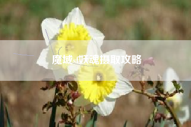 魔域sf妖魂摄取攻略