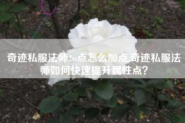 奇迹私服法师2w点怎么加点,奇迹私服法师如何快速提升属性点？