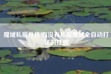 魔域私服外挂,有没有私服魔域全自动打怪的挂啊