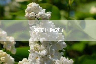 完美国际就sf
