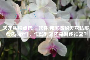 天龙私服点选npc软件,独家揭秘天龙私服点选pc软件，作弊利器还是游戏神器？