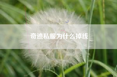 奇迹私服为什么掉线