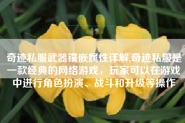 奇迹私服武器镶嵌属性详解,奇迹私服是一款经典的网络游戏，玩家可以在游戏中进行角色扮演、战斗和升级等操作