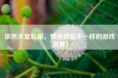依然天堂私服，带你体验不一样的游戏世界！