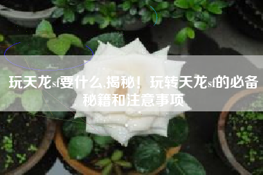 玩天龙sf要什么,揭秘！玩转天龙sf的必备秘籍和注意事项