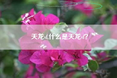 天龙sf,什么是天龙sf？