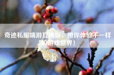 奇迹私服端游互通版，带你体验不一样的游戏世界！