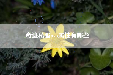 奇迹私服pvp属性有哪些