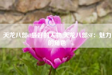 天龙八部sf最好的人物,天龙八部SF：魅力的角色