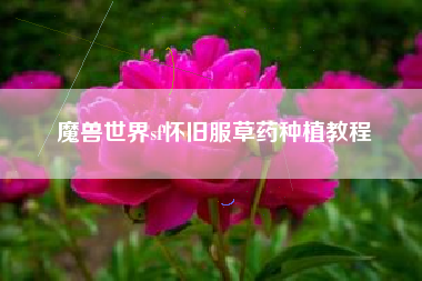 魔兽世界sf怀旧服草药种植教程