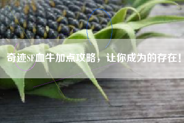 奇迹SF血牛加点攻略，让你成为的存在！