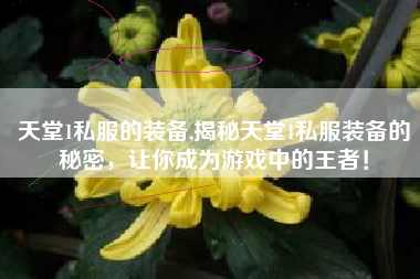 天堂1私服的装备,揭秘天堂1私服装备的秘密，让你成为游戏中的王者！