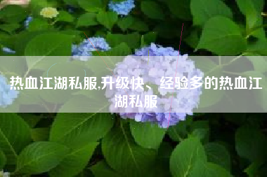 热血江湖私服,升级快、经验多的热血江湖私服