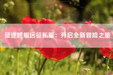 征途跨服远征私服：开启全新冒险之旅