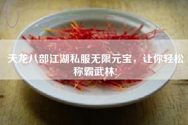 天龙八部江湖私服无限元宝，让你轻松称霸武林!