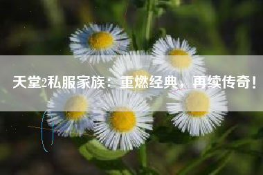 天堂2私服家族：重燃经典，再续传奇！