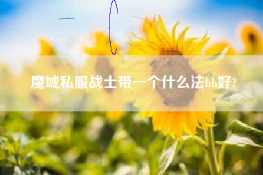 魔域私服战士带一个什么法bb好?