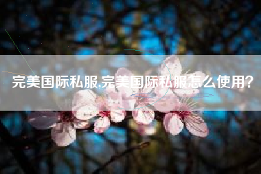 完美国际私服,完美国际私服怎么使用？
