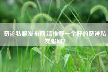 奇迹私服发布网,请推荐一个好的奇迹私发服网？